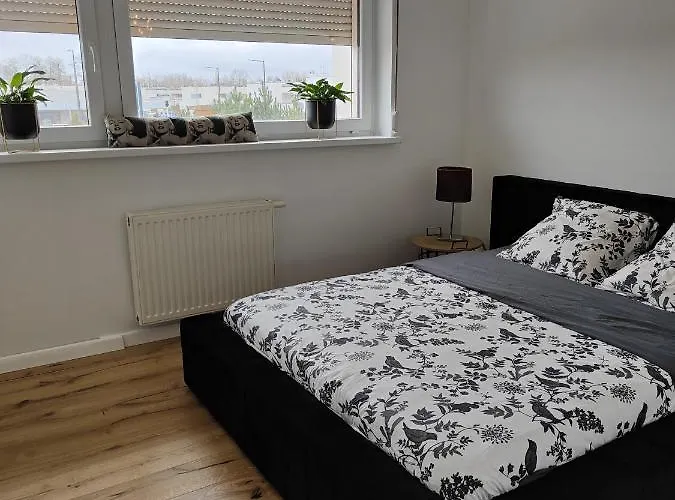 דירה Dom Dabrowka Poznan *